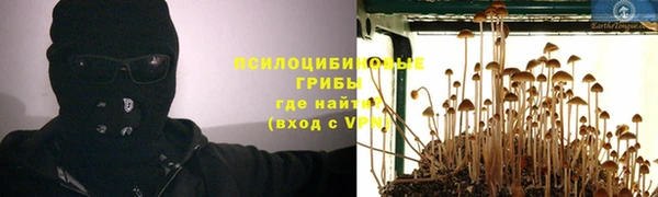 гашик Алексин