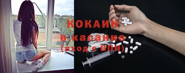 гашик Алексин