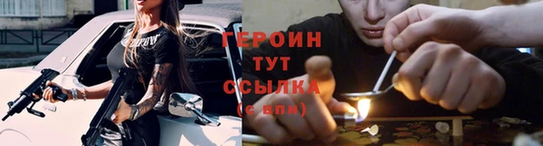 гашик Алексин