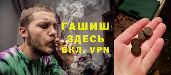 гашик Алексин